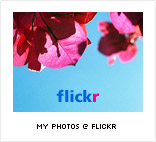 Link to My Flickr Photos