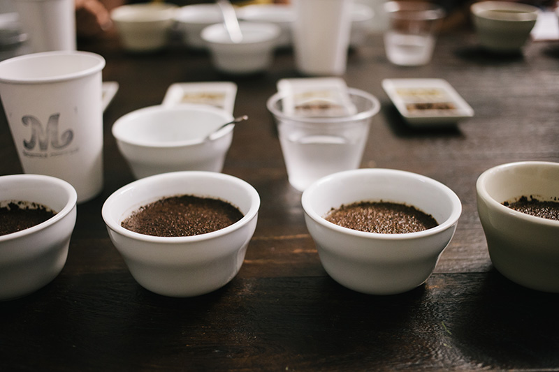Coffee Cupping 4
