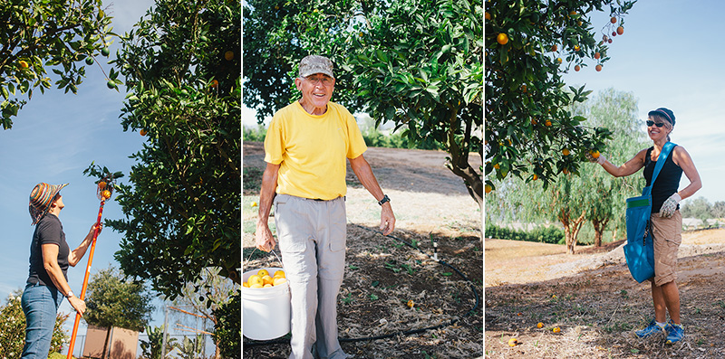 valencias and people