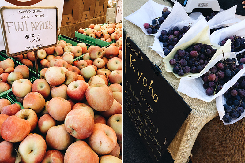 farmers market - fruits