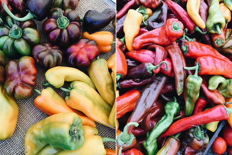 Colors at Farmers Market 1