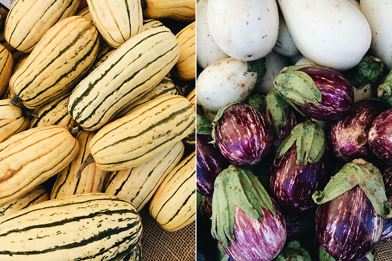 Colors at Farmers Market 2