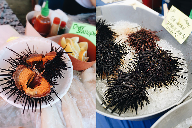 farmers market Uni